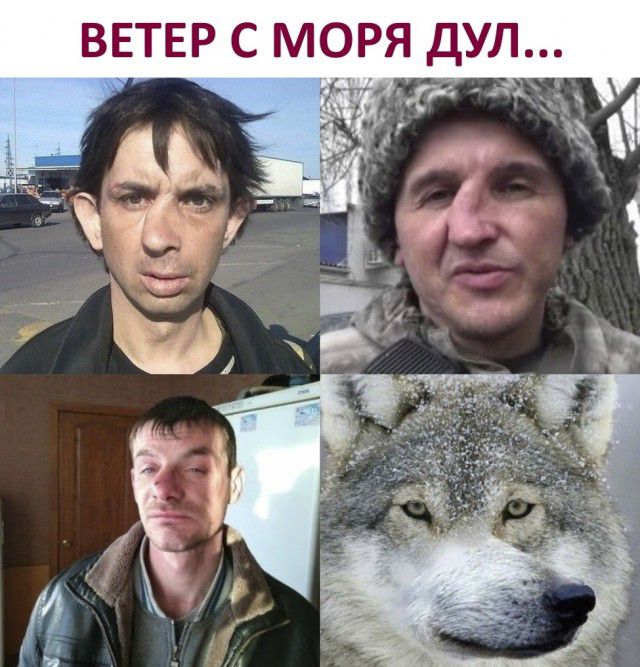 ВЕТЕР С МОРЯ ДУЛ 525 _ _