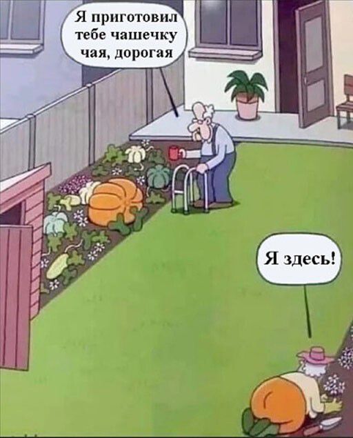 Я приготовил тебе чаще у ппая дорога