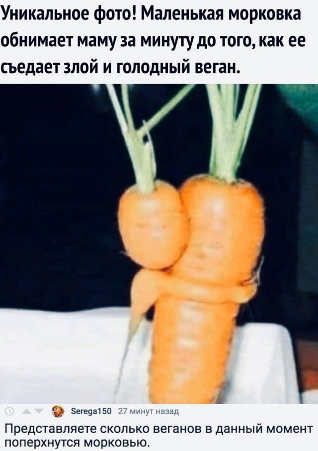 Уникальное фото Маленькая морковка обнимает маму за минуту до того как ее съедает злой и голодный веган д эта Представляете сколько веганов в данный момент поперхнутся морковью