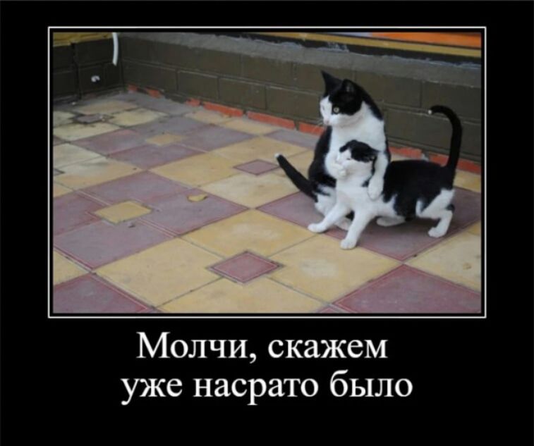 Молчи скажем уже насрато было