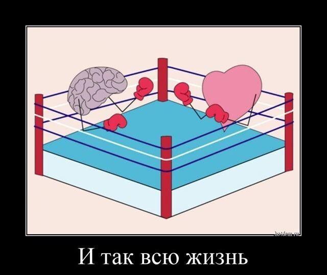 И так всю жизнь