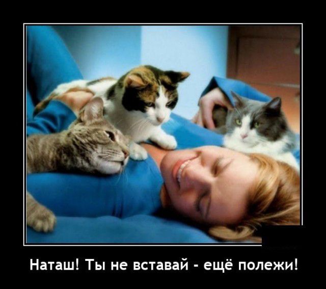 Наташ Ты не вставай ещё полежи