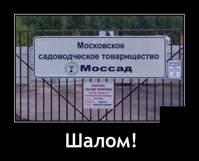 Московское садоводчесиое товарищество
