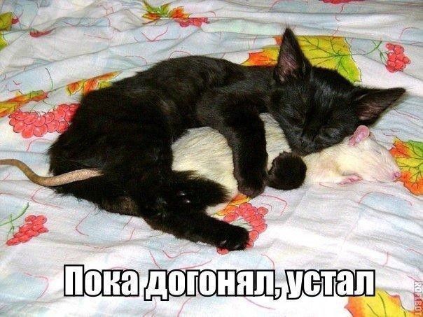 ЕЩЁШЩЁЪЮЛ
