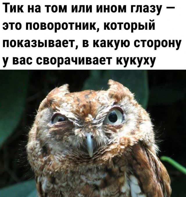 Тик на том или ином глазу это поворотник который показывает в какую сторону у вас сворачивает кукуху