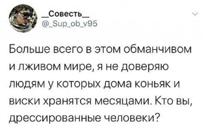 _совесть_ _ир_оЬ_95 Больше всего в этом обманчивом и пживом мире я не доверяю людям у которых дома коньяк и виски хранятся месяцами Кто вы дрессированные человеки