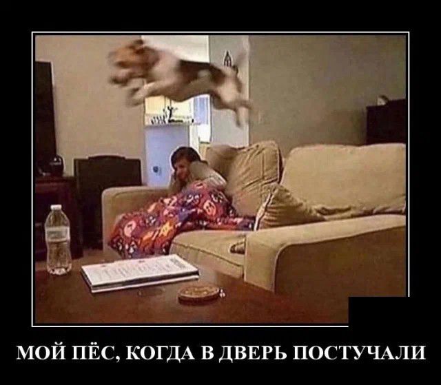 мой пйс КОГДА в дввгь постучмти