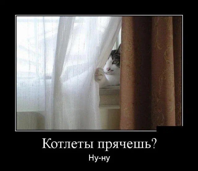 Котлеты прячешь Ну ну