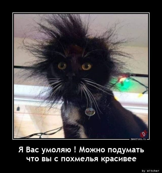 Я Вас умоляю Можно подумать что вы с похмелья красивее