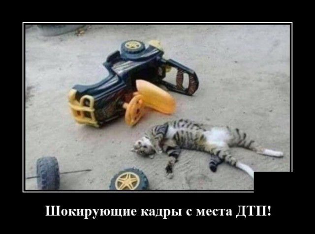 Шокирующие кадры с места ДТП
