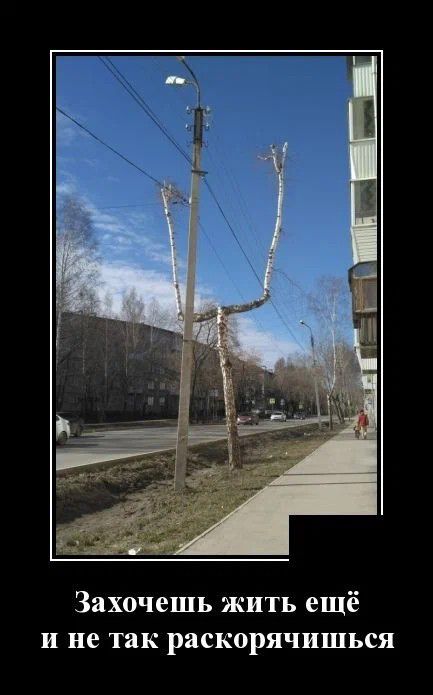 Захочешь жить ещё и не так раскорячишься