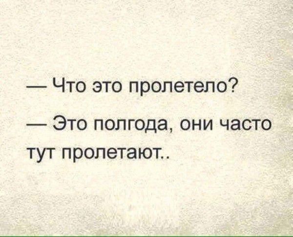 Что это пролетело Это полгода они часто тут пролетают