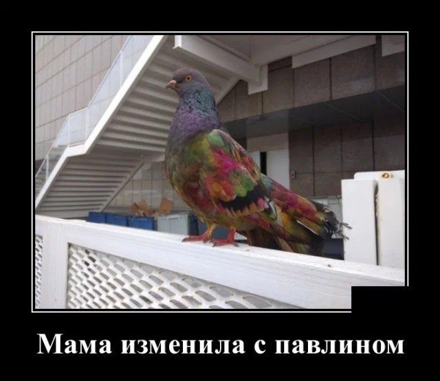 Мама изменила с ЯВЛИНОМ