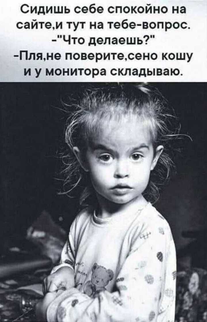 Сидишь себе спокойно на сайтем тут на тебе вопрос Что делаешь Ппяне поверитесено кошу и у монитора складываю