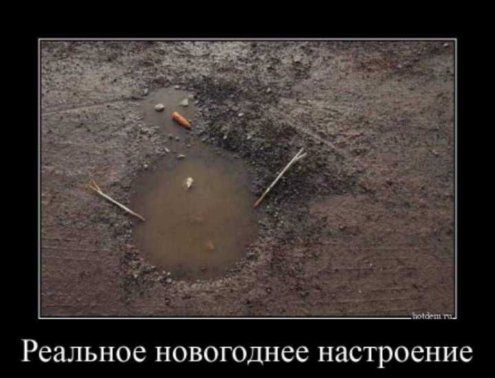 Реальное новогоднее настроение