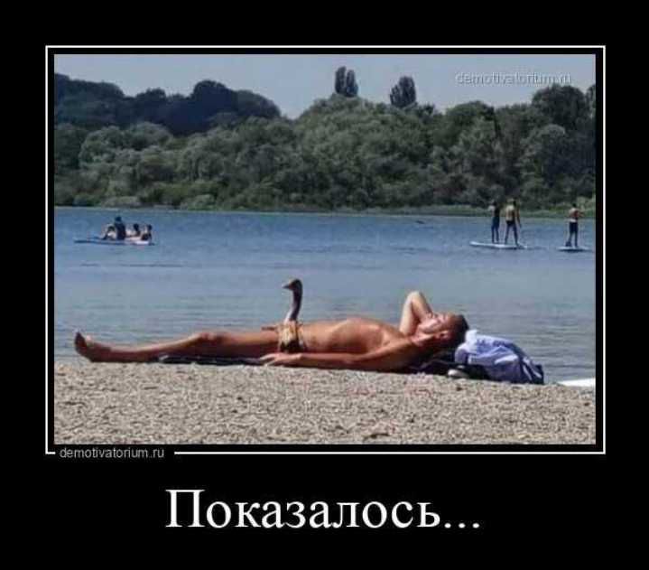 Показалось