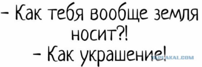Как тебя вообще земия носит Как украшение