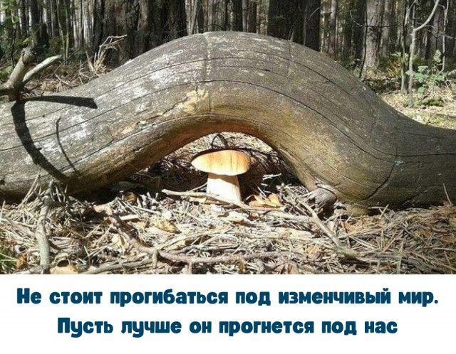 отлит прогибаіьсп поп иэмеичивый мир Пусть лучше он прагиесп поп иас