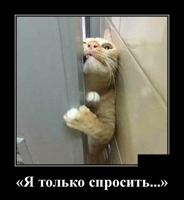 Я только спросить
