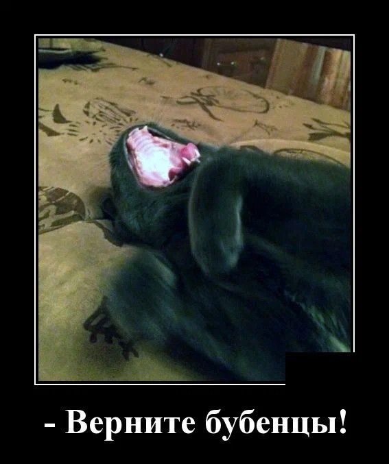 Верните бубенцы