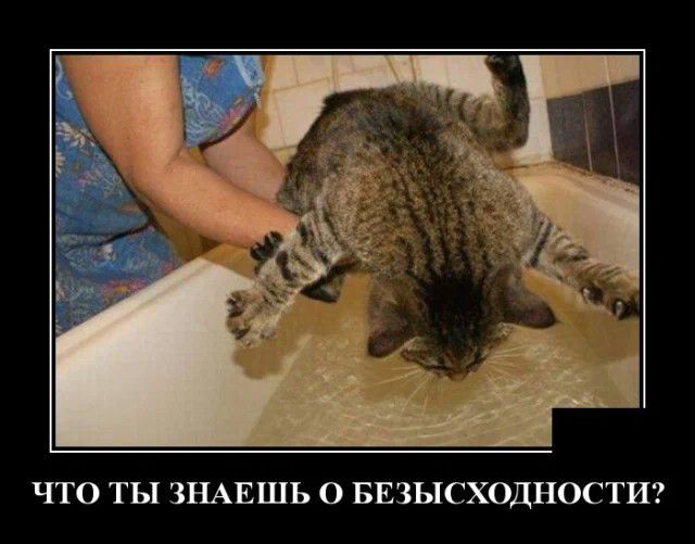 ЧТО ТЫ ЗНАЕШЬ 0 БЕЗЫСХОДНОСТИ