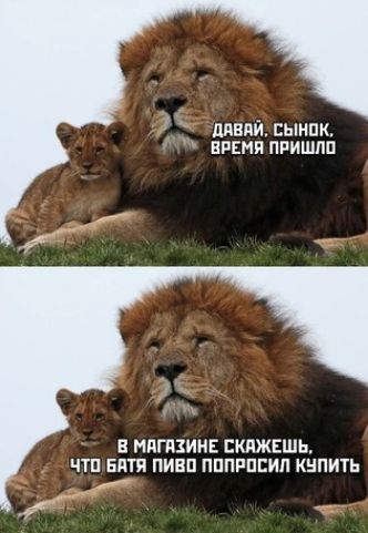 даний сынпк время пришла В МПППИНЕ ЕКПЖЕШЬ ЧТП БНТИ ПИБП ПППРПЕИЛ КНПИТЬ _
