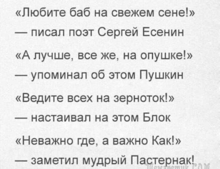 На свежем сене. Любите баб на свежем сене писал поэт Сергей Есенин. Любиие баба на свежем сене. Любите баб на свежем сене. Любите баб на свежем сене стих Есенина.