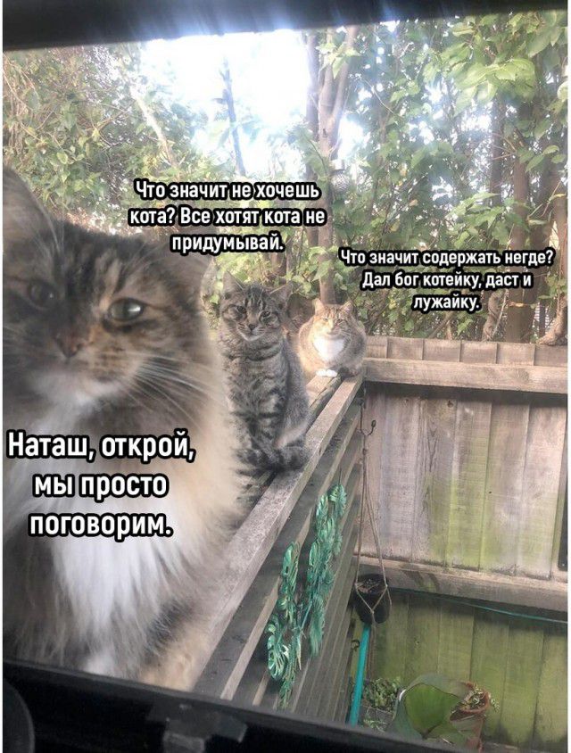 придумыва