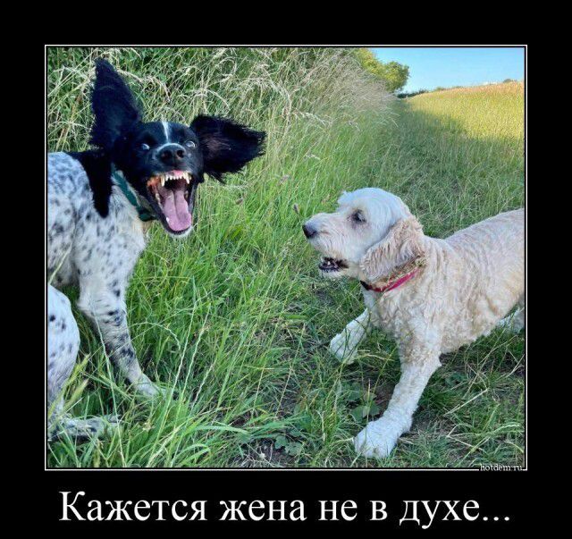 Кажется жена не в духе