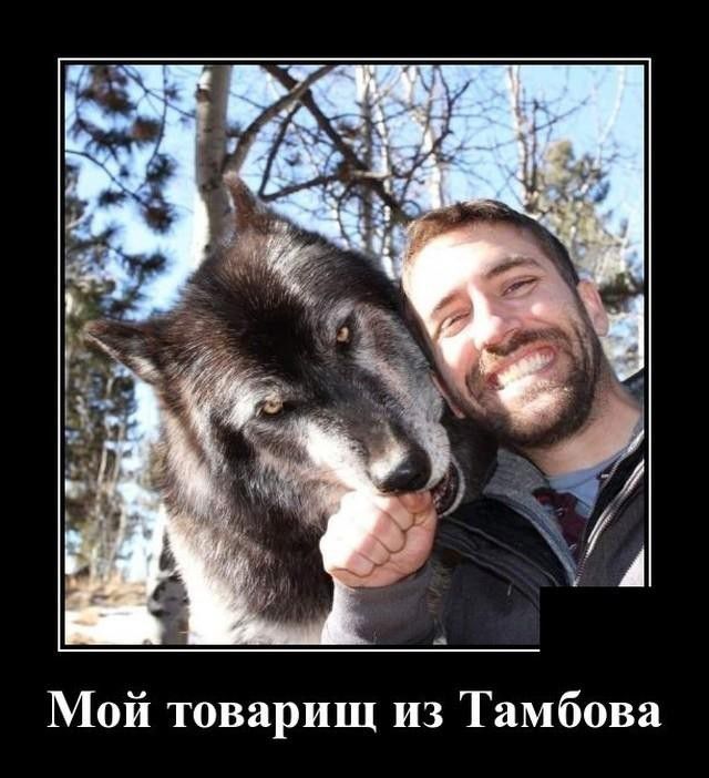 й товарищ из Тамбова Мо