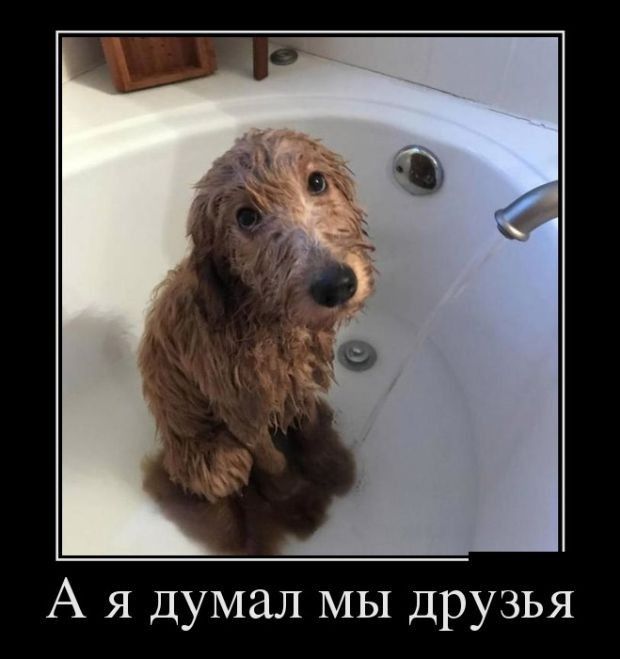 А я думал МЫ Друзья