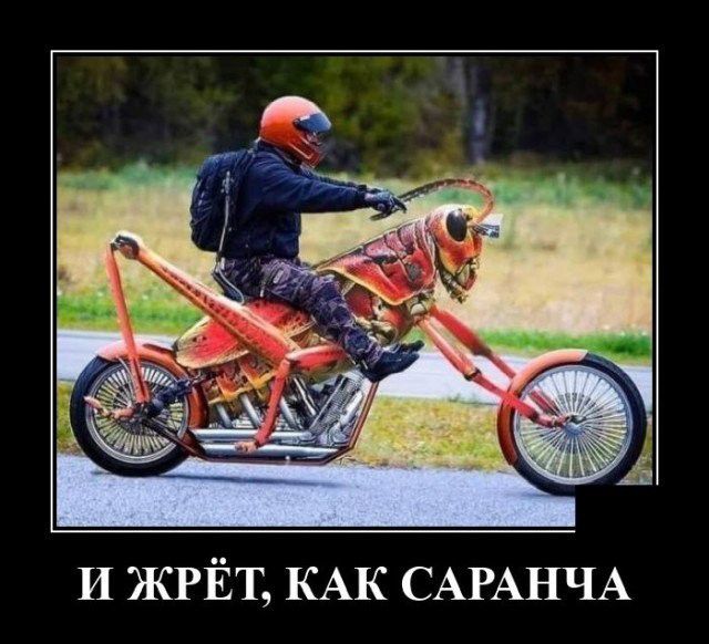И ЖРЁТ КАК САРАНЧА