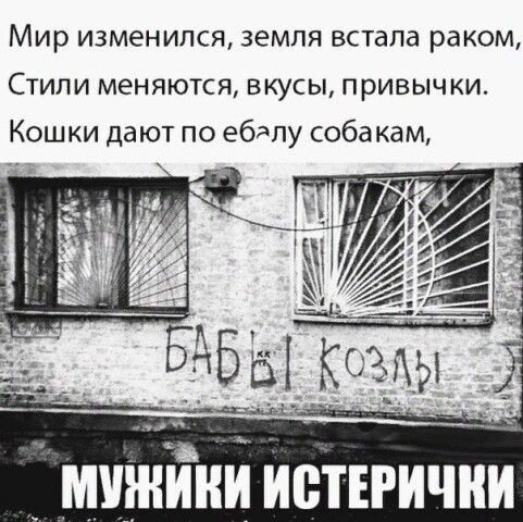 Мир изменился земля встала раком СТИЛИ МЕНЯЮТСЯ ВКУСЫ ПрИВЫЧКИ Кошки дают по ебдпу собакам мижінй иетъгични