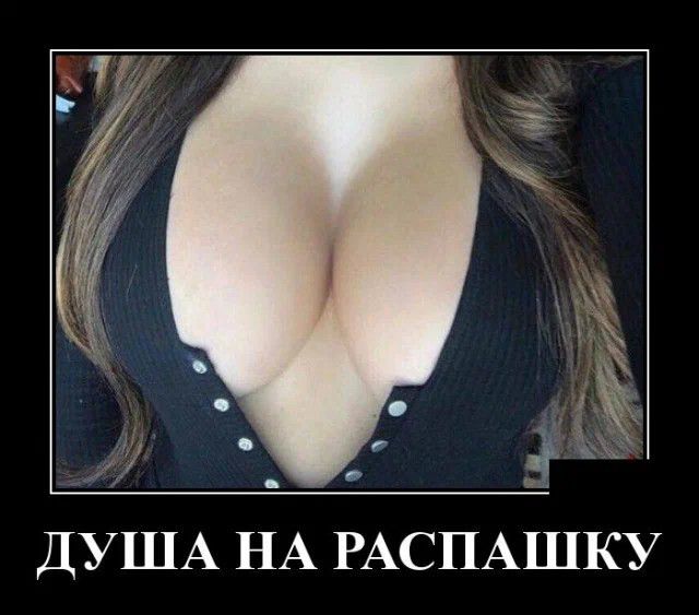 ДУША НА РАСПАШКУ