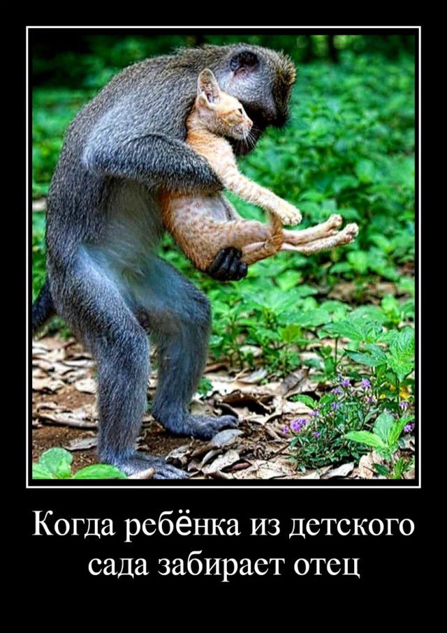 Когда ребёнка из детского сада забирает отсц