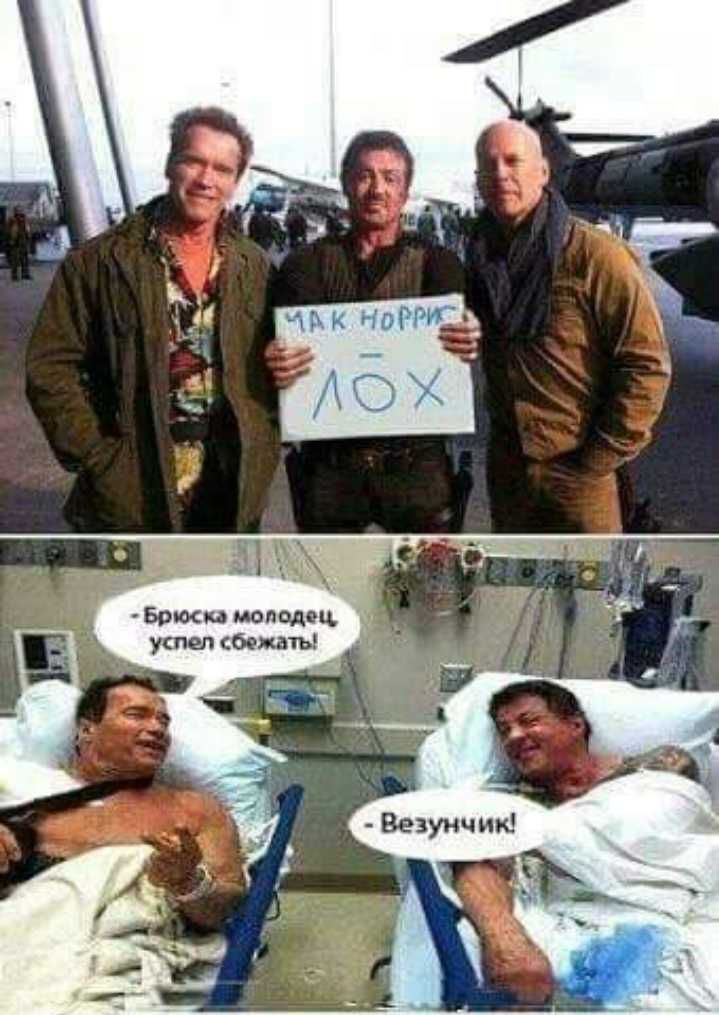 Фики волчиц успел сен аты