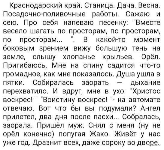 Краснодарский край Станица Дача Весна Посадочнопопивочные работы Сажаю и сею Про себя напеваю песенку Вместе весело шагать по просторам по просторам по просторам В какой то момент боковым зрением вижу большую тень на земле слышу хлопанье крыльев Орёл Пригибаюсь Мне на спину садится что то громадное как мне показалось душа ушла в пятки Собиралась заорать дыхание перехватило И вдруг мне в ухо Христо