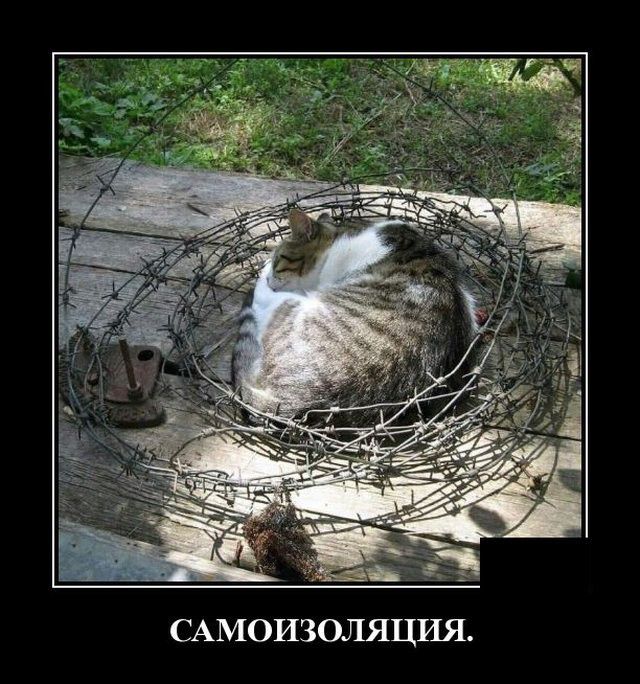 САМОИЗОЛЯЦИЯ