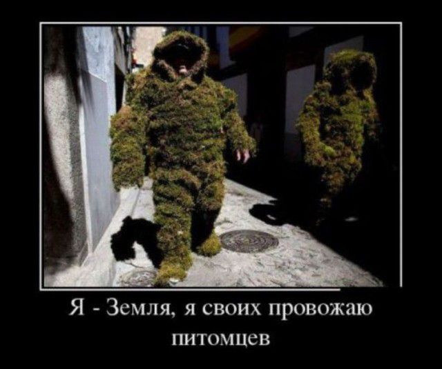Я Земля я своих провожаю питамцев