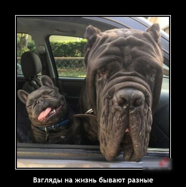 Внляды и живи бывают равные