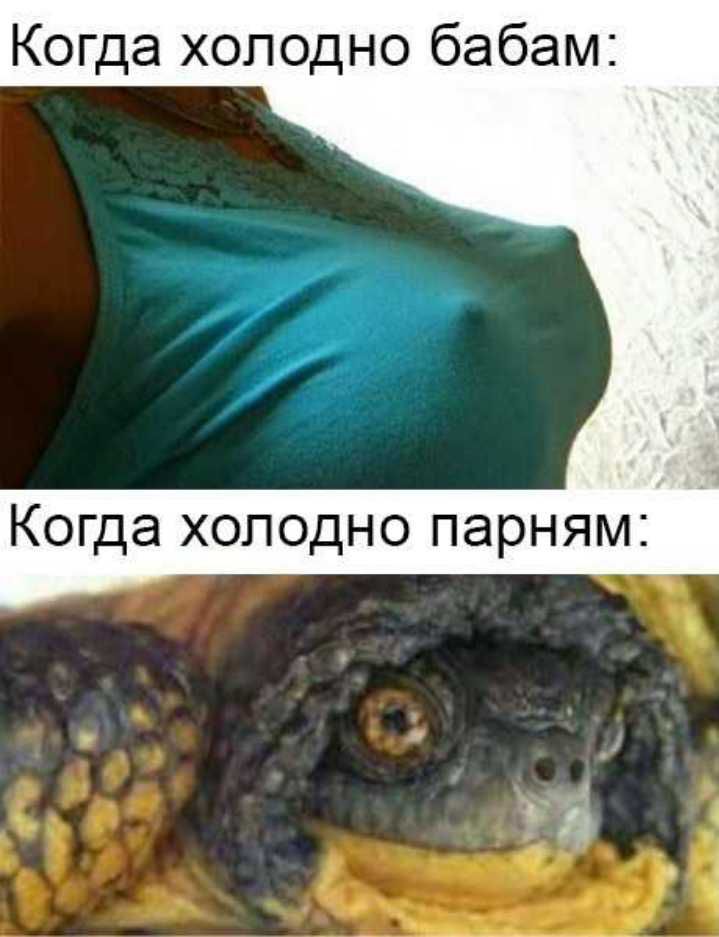 Когда холодно бабам Когда холодно парням