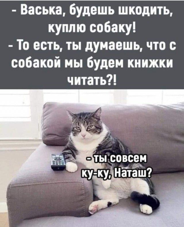 Васька Будешь шкодить куплю собаку То есть ты думаешь что с собакой мы будем книжки читать