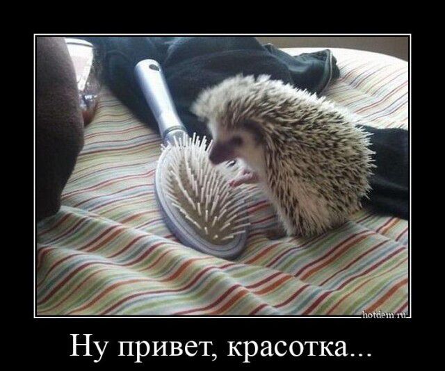 т красотка Ну приве