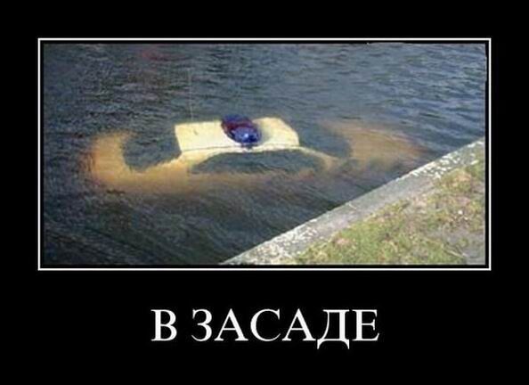 В ЗАСАДЕ