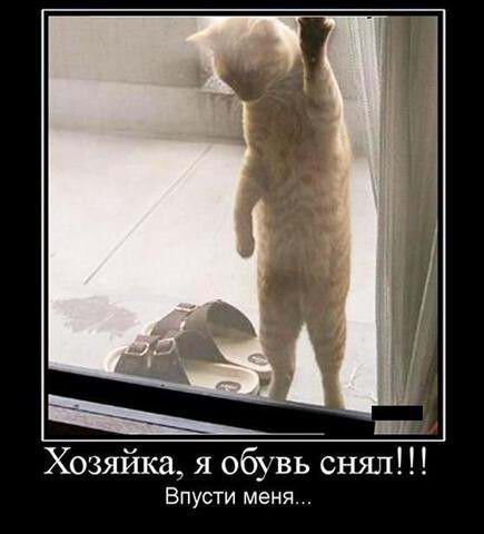 Хозяйка я обувь снял Впусти меня