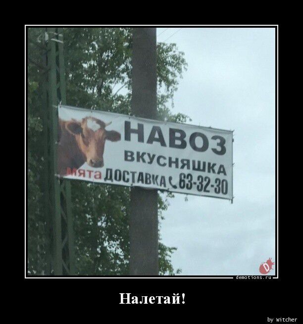 Налетай