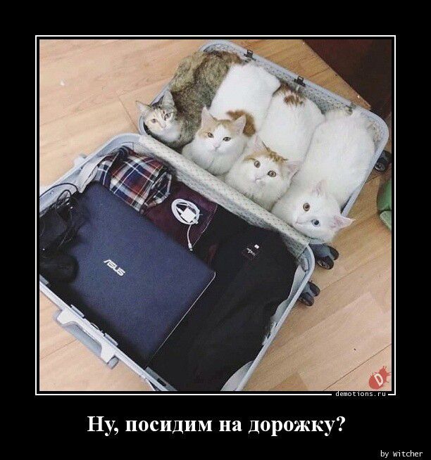 Ну посидим на дорожку