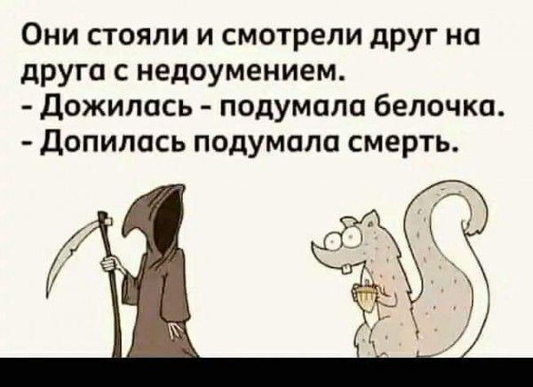 Они стояли и смотрели друг на друга с недоумением Дожипась подумала белочка Допипась подумала смерть
