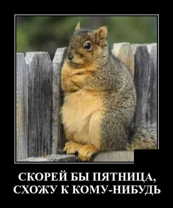скогвй БЫ ПЯТНИЦА схожу к КОМУ НИБУДЬ