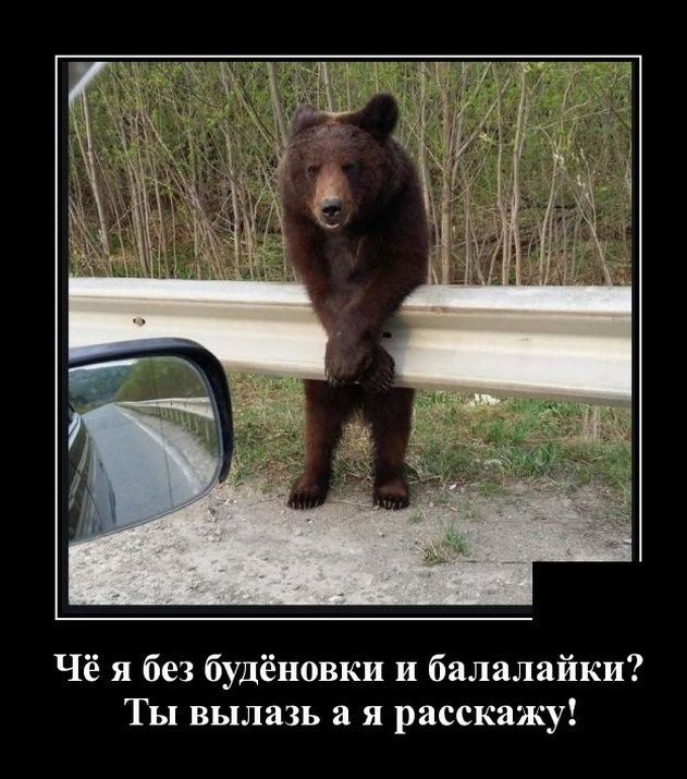 Чё я без будёновки и балалайки Ты вылазь а я расскажу